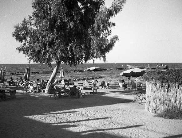 Images/1951 1LF 1950   Fayid Officer Club776.jpg